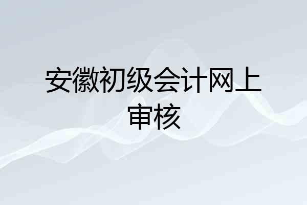 安徽初级会计网上审核