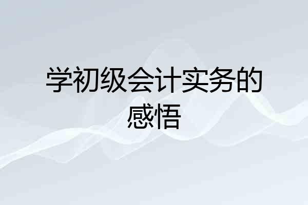 学初级会计实务的感悟