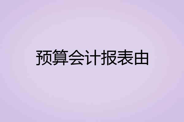 预算会计报表由