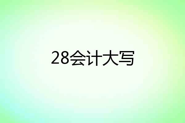 28会计大写