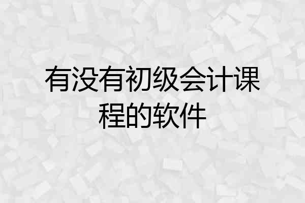 有没有初级会计课程的软件