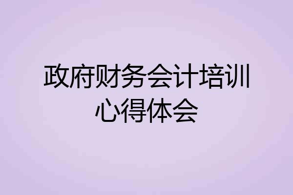 政府财务会计培训心得体会