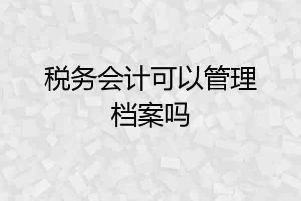 税务会计可以管理档案吗
