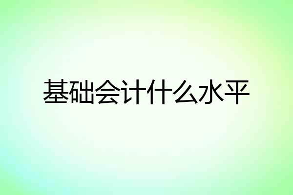 基础会计什么水平