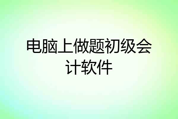 电脑上做题初级会计软件