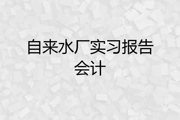 自来水厂实习报告会计