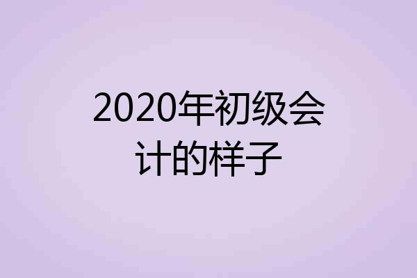 2020年初级会计的样子