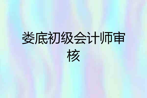 娄底初级会计师审核