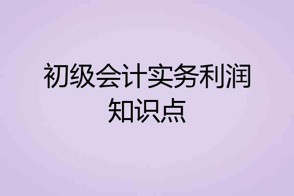 初级会计实务利润知识点