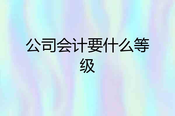公司会计要什么等级