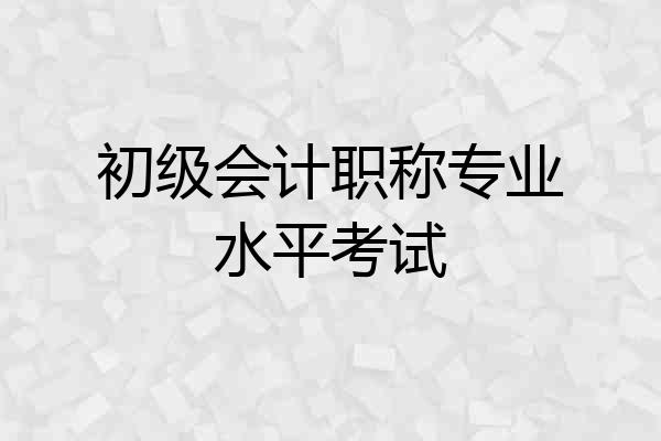 初级会计职称专业水平考试