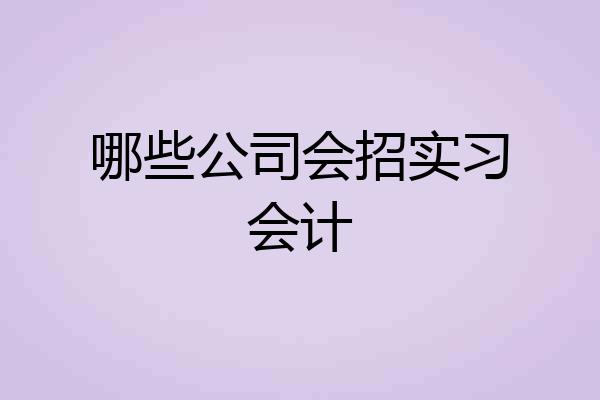 哪些公司会招实习会计