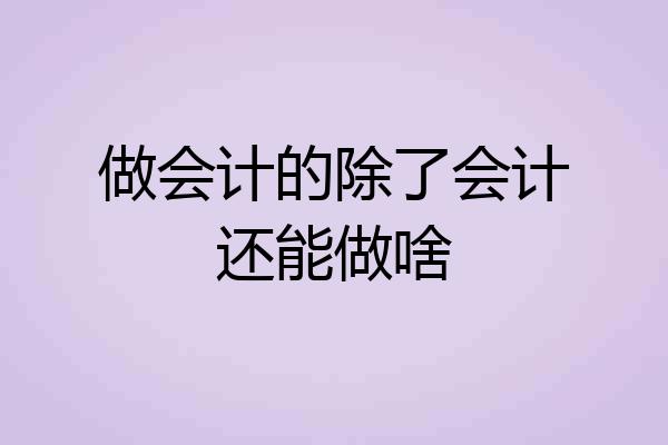 做会计的除了会计还能做啥