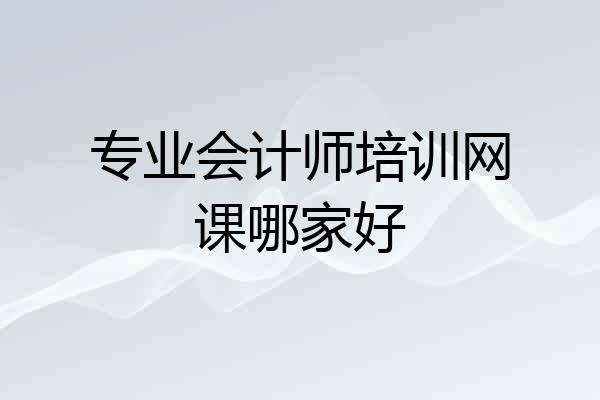 专业会计师培训网课哪家好