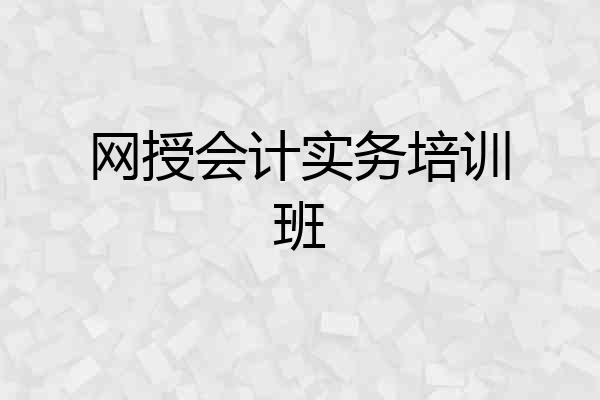 网授会计实务培训班