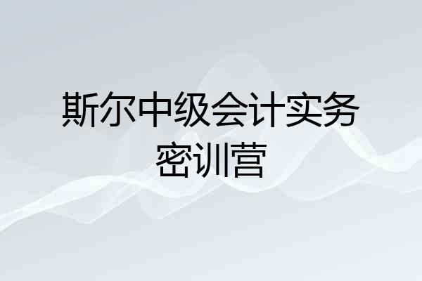 斯尔中级会计实务密训营