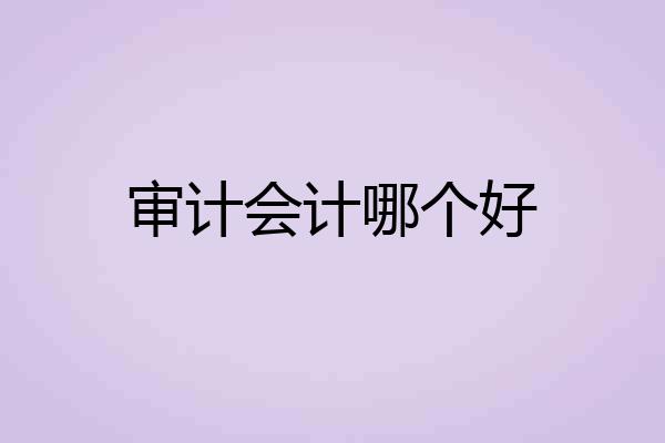审计会计哪个好