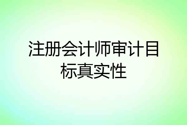 注册会计师审计目标真实性