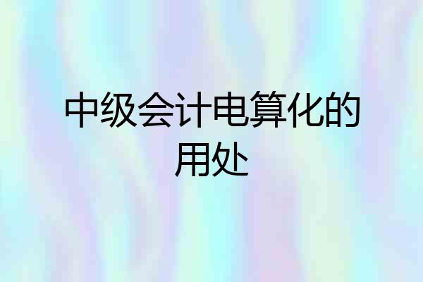 中级会计电算化的用处