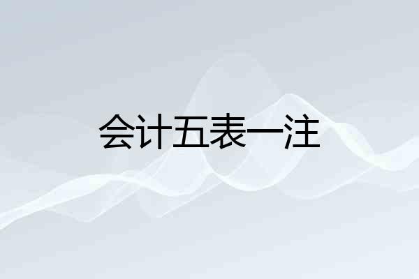 会计五表一注
