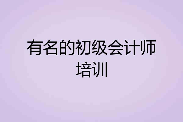 有名的初级会计师培训