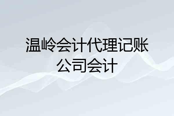 温岭会计代理记账公司会计