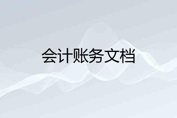 会计账务文档