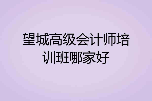 望城高级会计师培训班哪家好