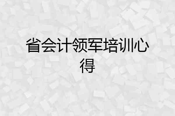 省会计领军培训心得