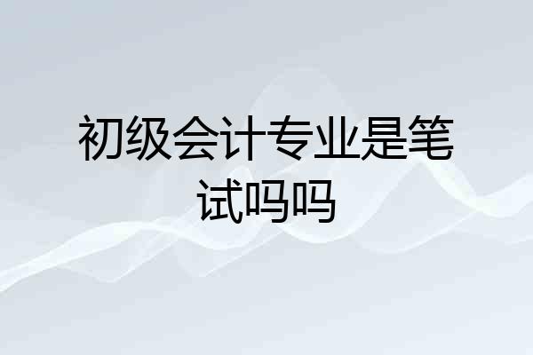 初级会计专业是笔试吗吗