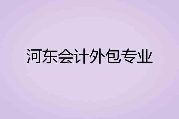 河东会计外包专业