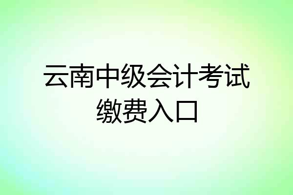 云南中级会计考试缴费入口