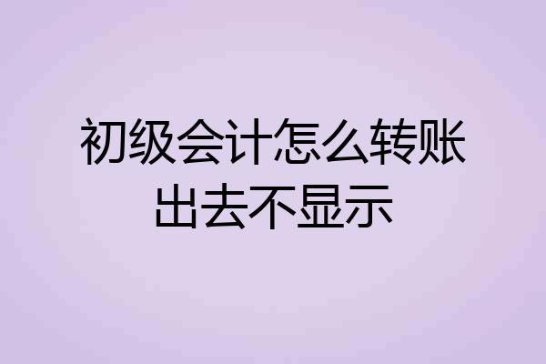 初级会计怎么转账出去不显示