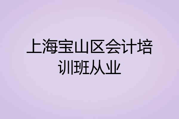 上海宝山区会计培训班从业