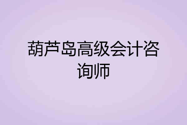 葫芦岛高级会计咨询师
