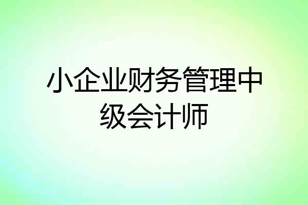 小企业财务管理中级会计师