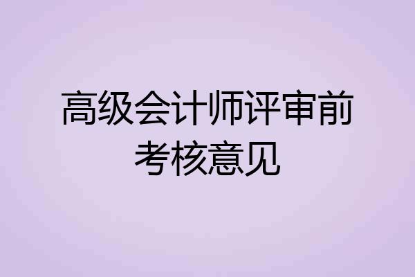 高级会计师评审前考核意见