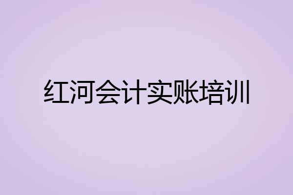 红河会计实账培训