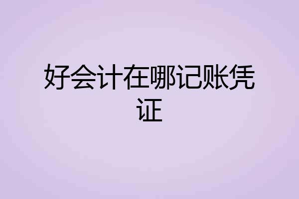 好会计在哪记账凭证