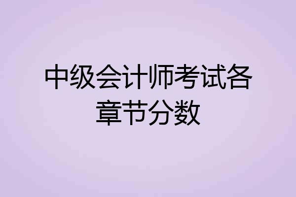 中级会计师考试各章节分数