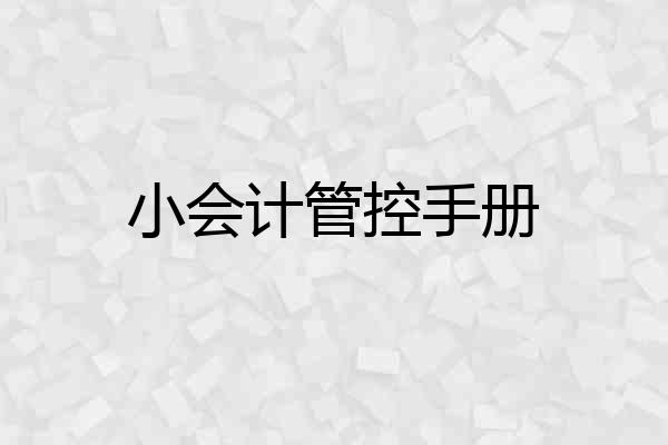 小会计管控手册