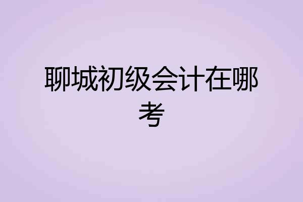 聊城初级会计在哪考
