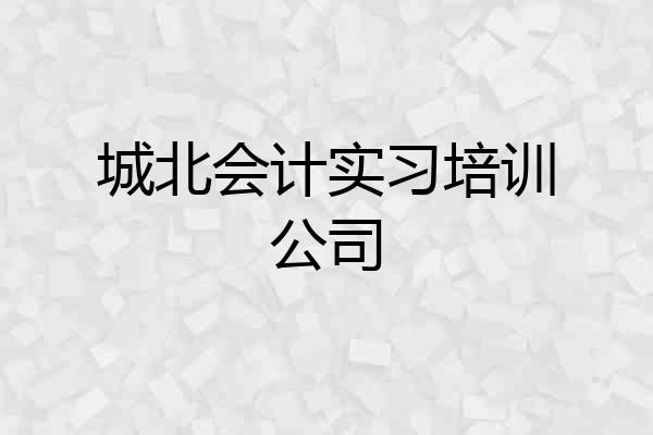 城北会计实习培训公司