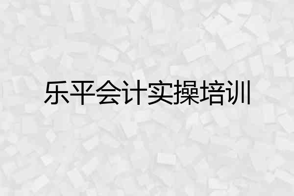 乐平会计实操培训
