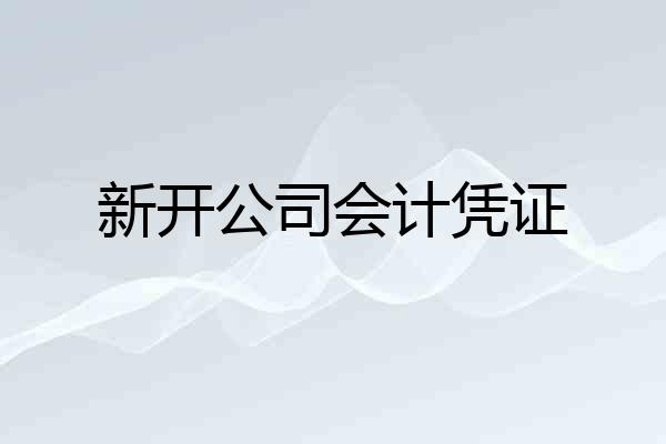 新开公司会计凭证