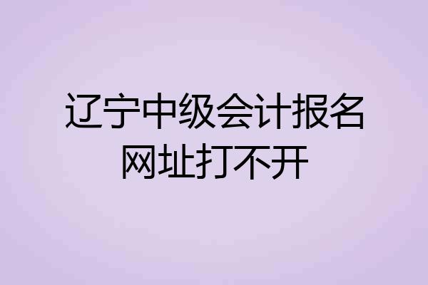 辽宁中级会计报名网址打不开