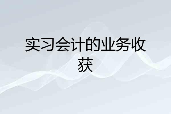 实习会计的业务收获
