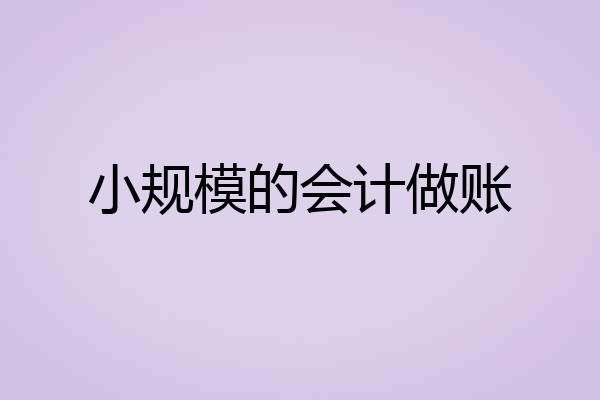 小规模的会计做账