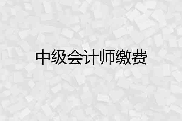 中级会计师缴费