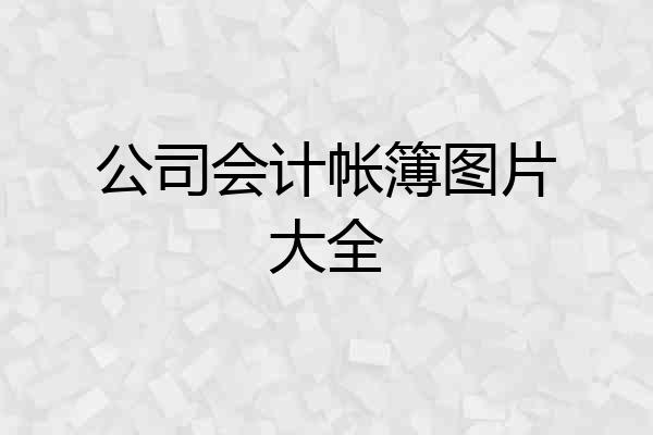 公司会计帐簿图片大全